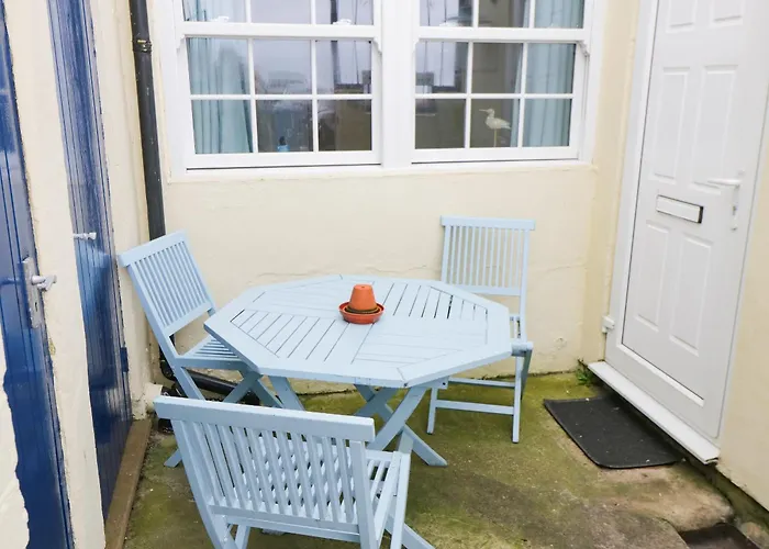 Kittiwake Scarborough